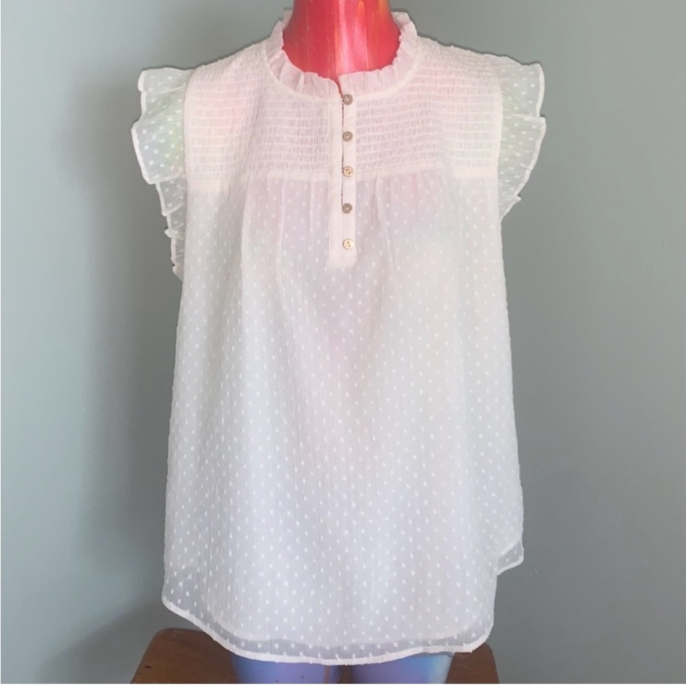 LOFT Sweet Pea Top NWT